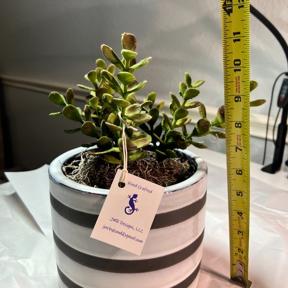 Faux Succulent in Grey Ceramic Planter - Picture 2 of 2